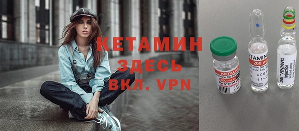 индика Алексин