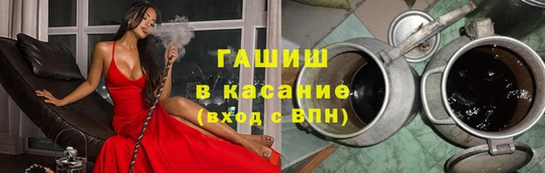 индика Алексин
