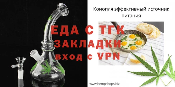индика Алексин
