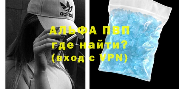 индика Алексин
