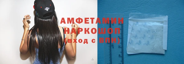 индика Алексин
