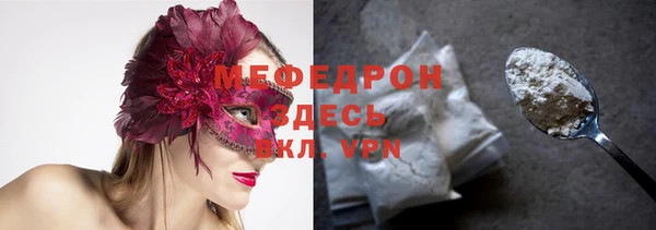 индика Алексин