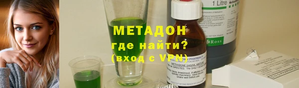 индика Алексин
