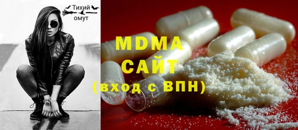 индика Алексин