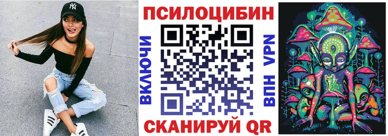 Галлюциногенные грибы мицелий  Андреаполь 