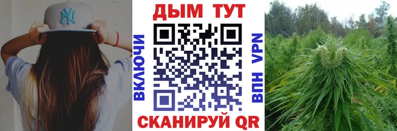 Бошки марихуана Amnesia Андреаполь